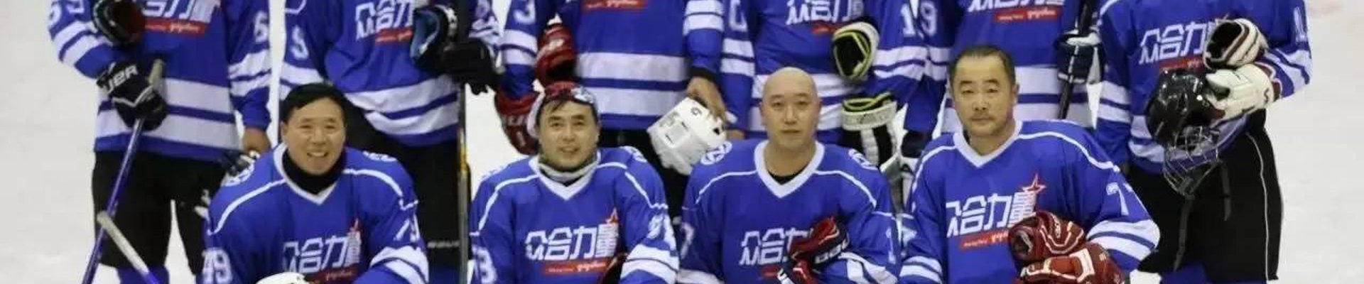 业务范围
