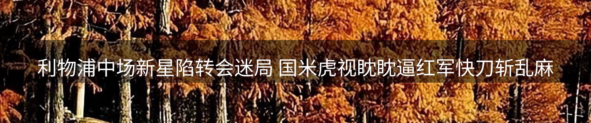 新闻汇聚
