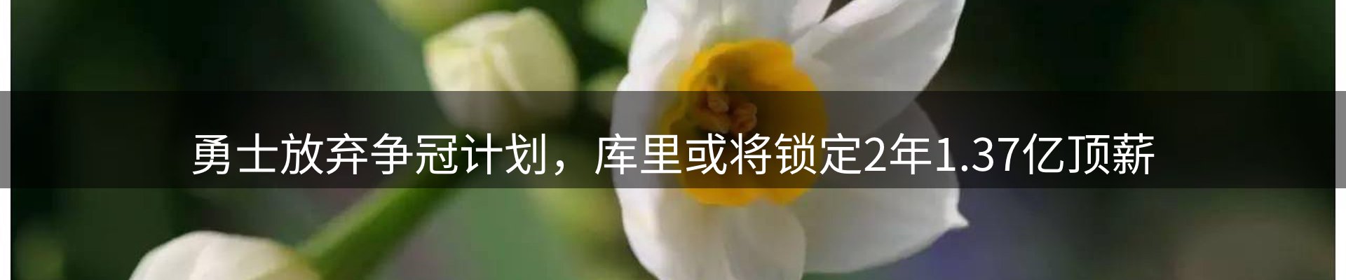 新闻汇聚