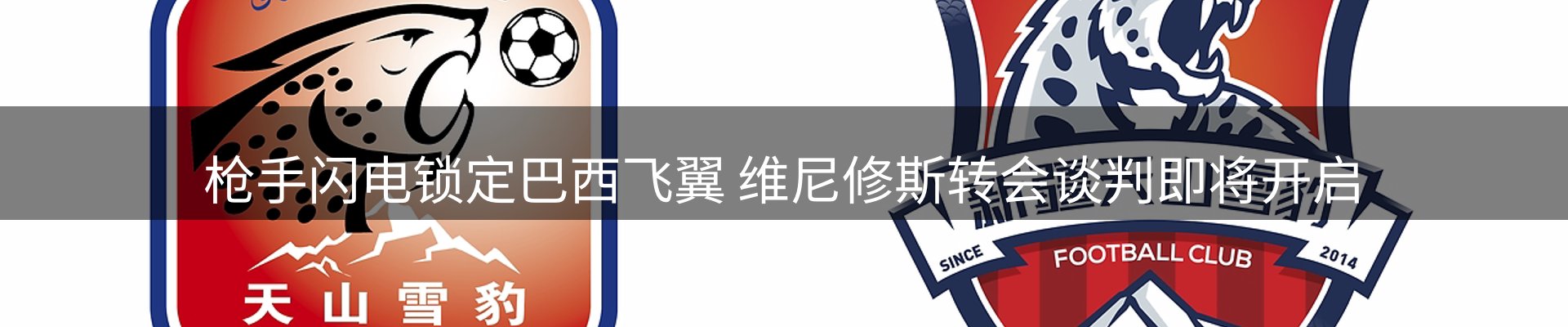 新闻汇聚