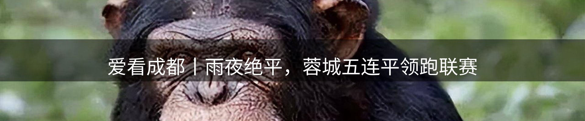 新闻汇聚