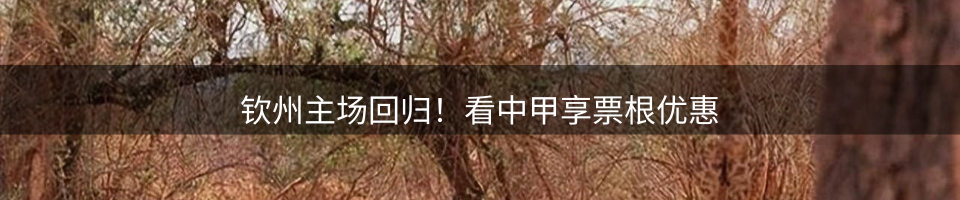新闻汇聚
